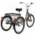 Велосипед триколісний для дорослих Ardis Liman 24"
